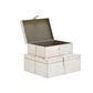 Maple and Jade 2-Piece Handmade Cowhide Storage Decorative Box Set in Silver, , large