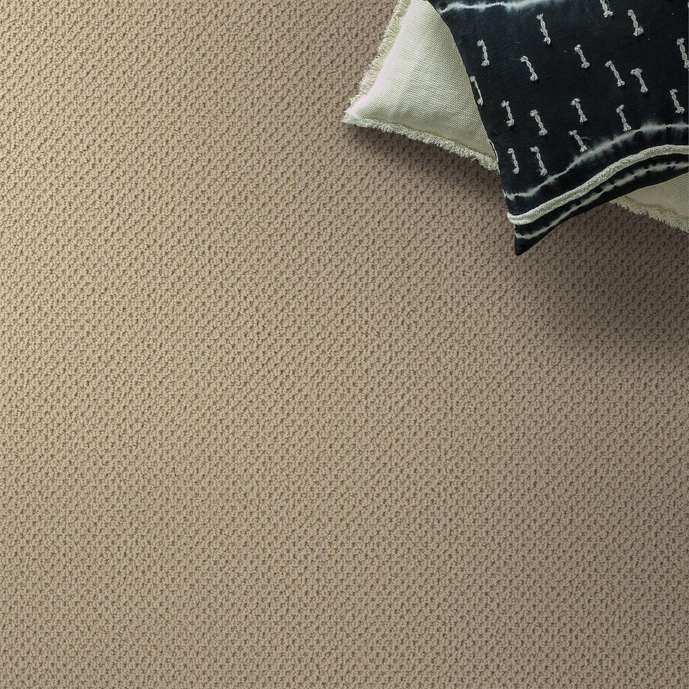 Anderson Tuftex Gracious Carpet in Bamboo, , large
