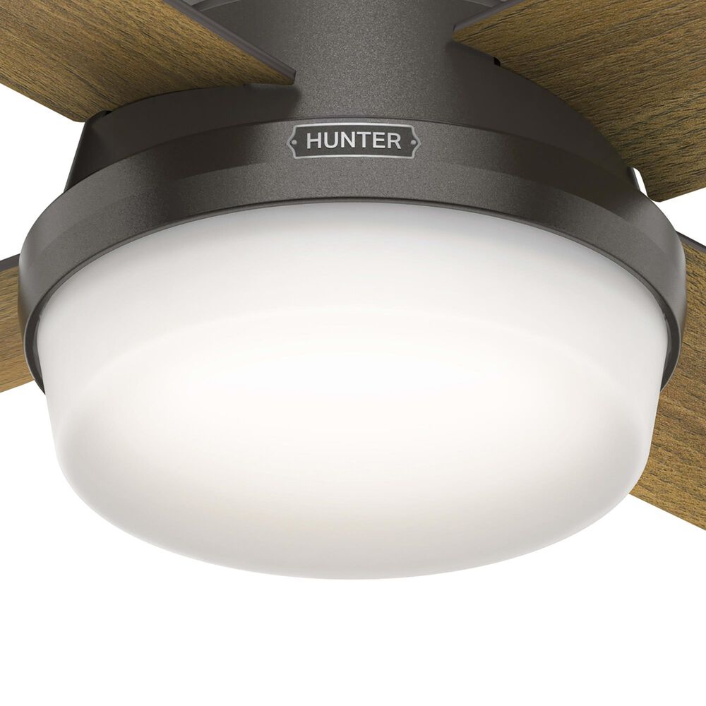 Hunter Dempsey Low Profile 44&quot; Ceiling Fan with Lights in Noble Bronze, , large