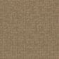 Dream Weaver Natural Attraction Carpet in Sand Dance, , large