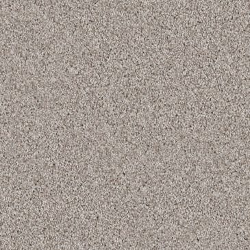 Dixie Home Devotion Carpet in Pebble, , large