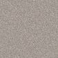 Dixie Home Devotion Carpet in Pebble, , large
