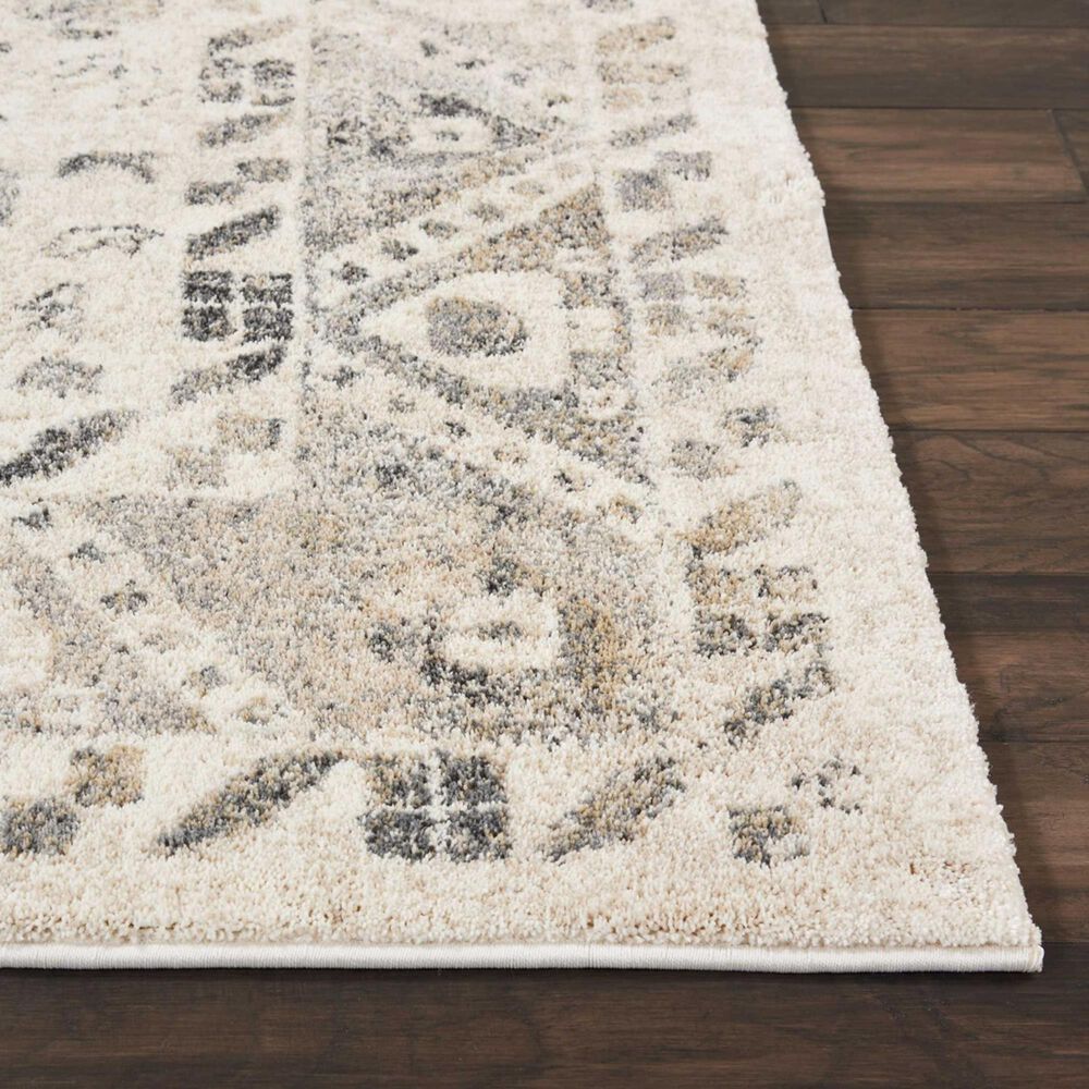 Nourison Fusion FSS11 4&#39; x 6&#39; Cream and Gray Area Rug, , large