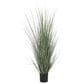 Maple and Jade 61" Indoor/Outdoor Tall Artificial Onion Grass with Black Plastic Pot in Green, , large