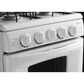 Amana 2.6 Cu. Ft. 20" Gas Range in White, , large