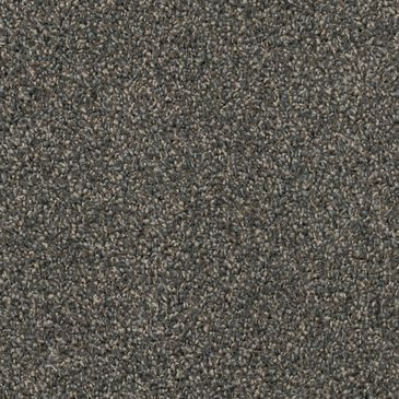 Dixie Home Outlast Carpet in Granite, , large