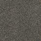 Dixie Home Outlast Carpet in Granite, , large