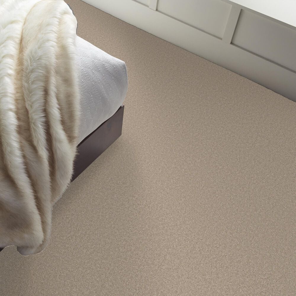 Philadelphia Champagne Taste II Carpet in Chic Greige, , large