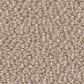 Shaw Embellished Carpet in Thatched Roof, , large