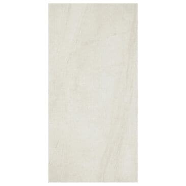Dal-Tile Wanderwise Swan 12" x 24" Porcelain Tile, , large