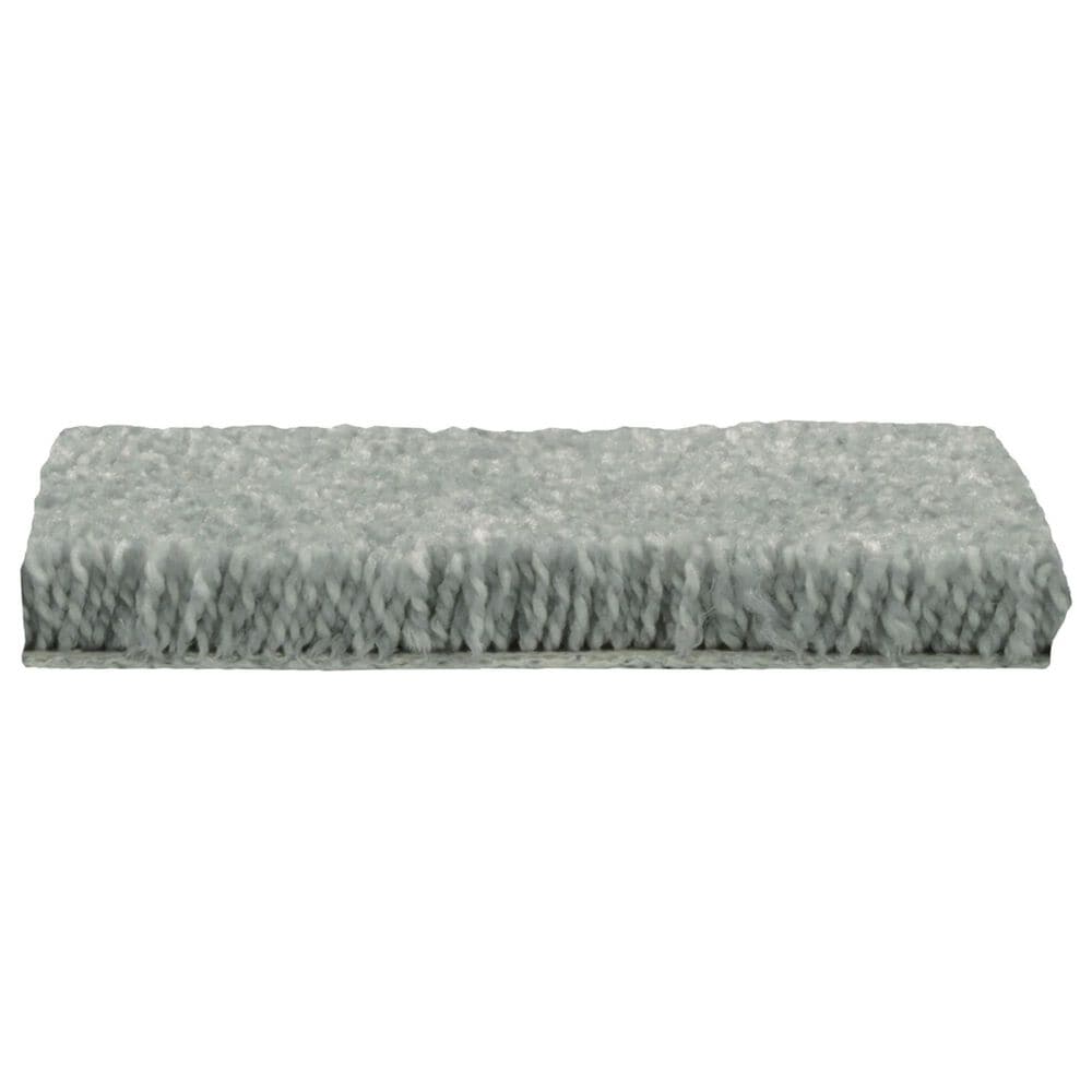 Mohawk Popular Design Carpet in Empress, , large