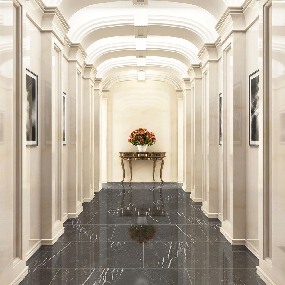 MS International Regallo Marquina Noir 24&quot; x 48&quot; Polished Porcelain Tile, , large