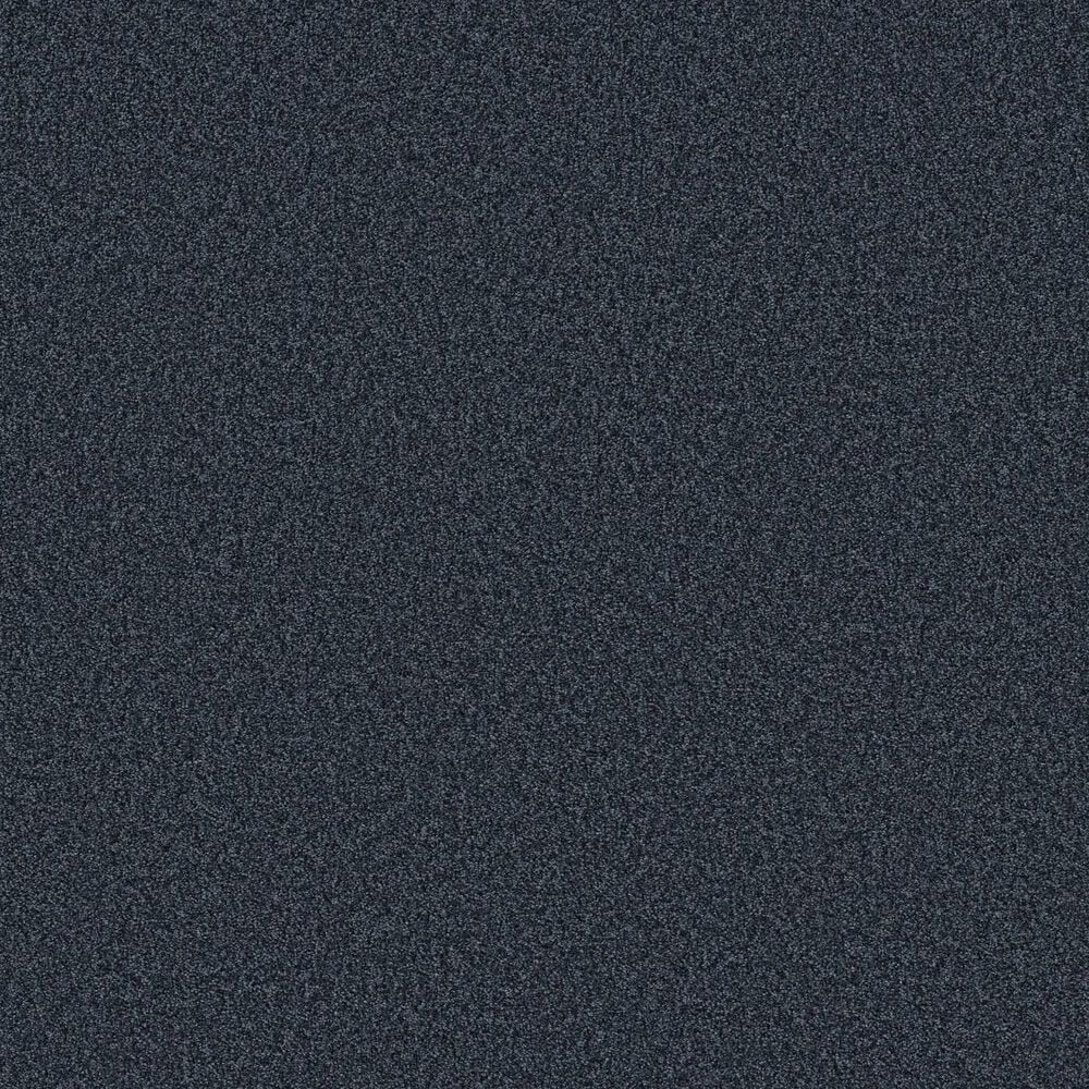 Shaw Tonal Comfort Ii Carpet in Under The Stars, , large