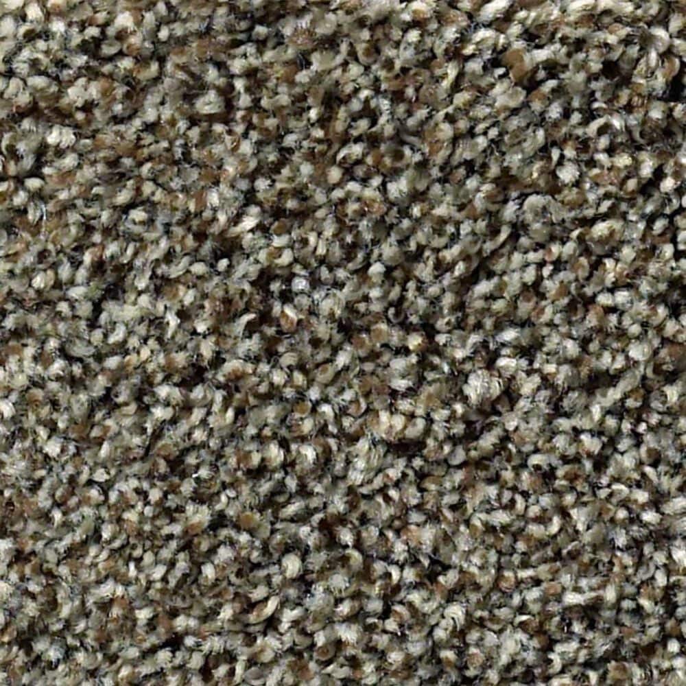 Anderson Tuftex The Bark Side II Carpet in Buckaroo, , large
