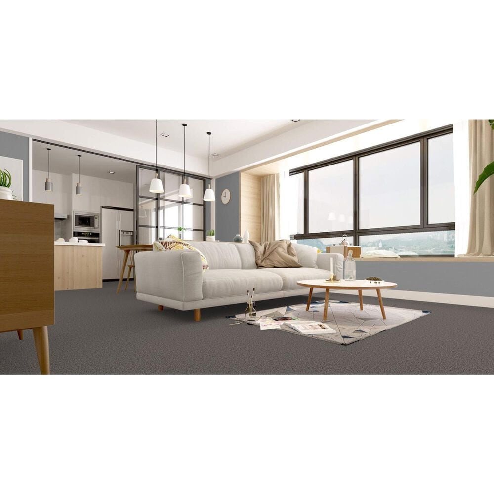 Revolution Mills Rainier Carpet in Volcano, , large