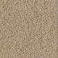 Anderson Tuftex Luxe Feel II Carpet in Gentle Doe, , large