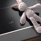 Miele 30" Smart Induction Cooktop in Black, , large