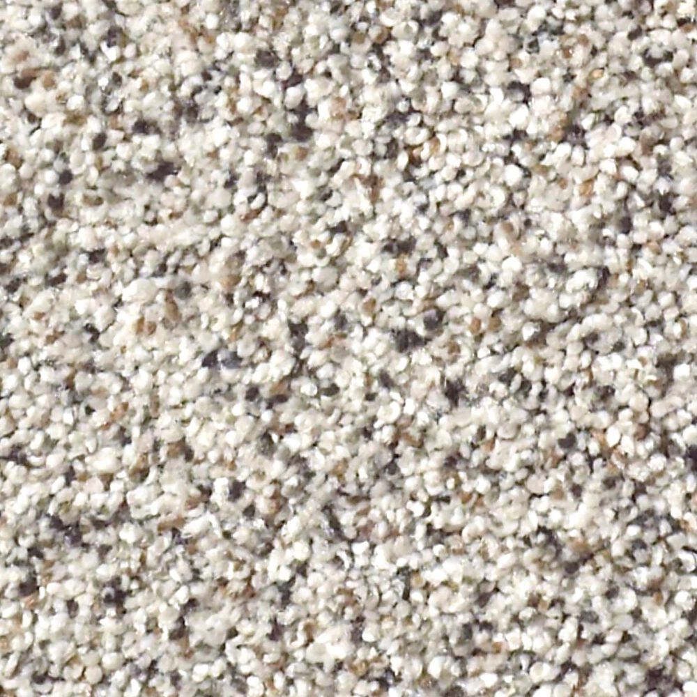Shaw Find Your Comfort TA II Carpet in Lost Passport, , large