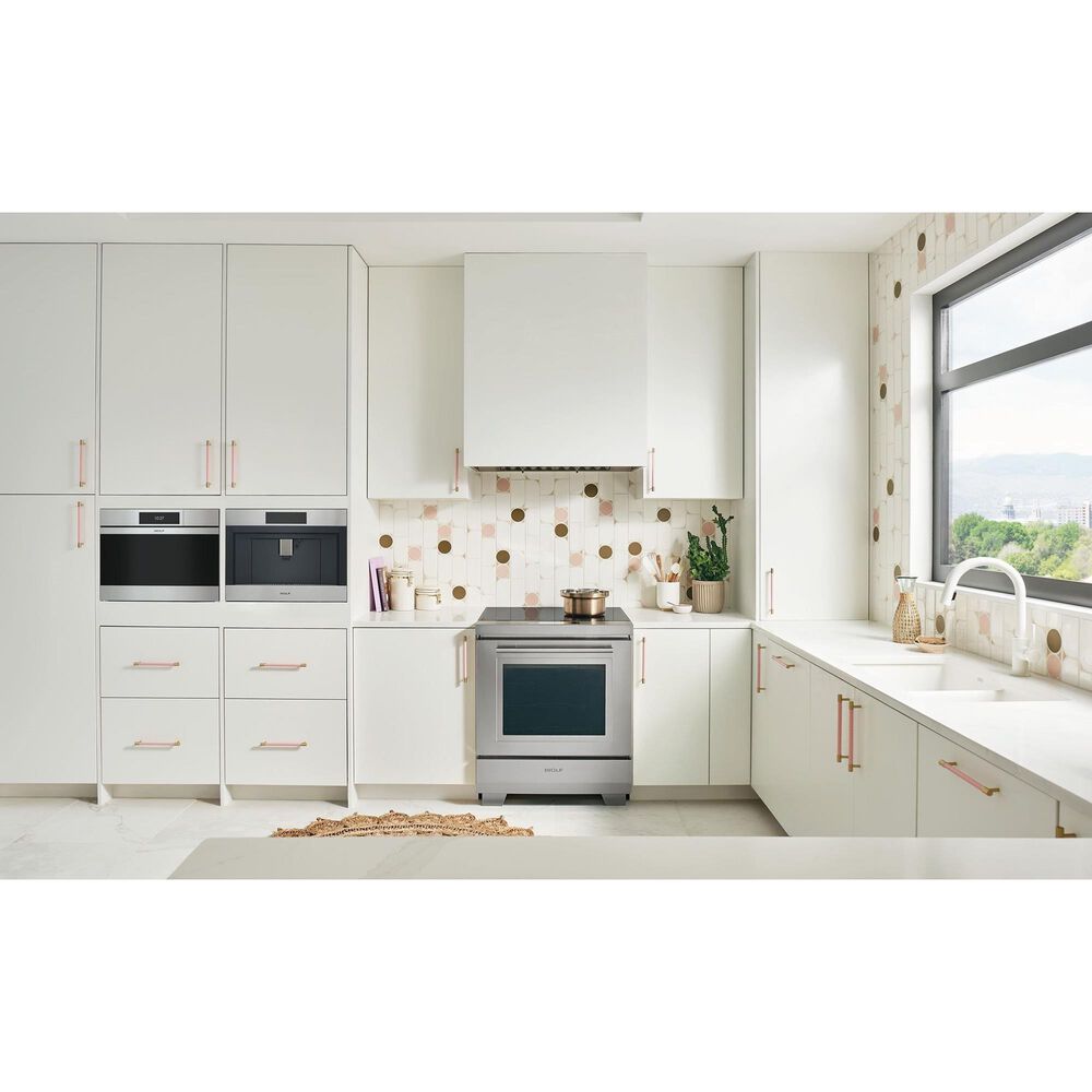 Wolf Appliances M Series 24" Single Electric Wall Oven with Convection Steam in Stainless Steel, , large