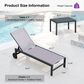 HOMLUX 3-Piece Patio Chaise Lounge Set with Straight-Leg in Light Grey, , large