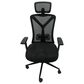 Ace Casual Furniture Office Oscar High-Back Ergonomic Mesh Office Chair, , large