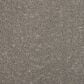 Mohawk Mineral Effects Carpet in Oak Tree, , large