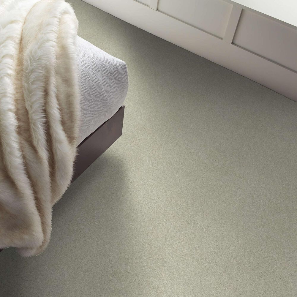 Shaw Your Comfort I Carpet in Willow Tree, , large