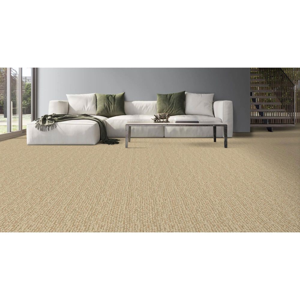 Masland Mesa Verde Carpet in Coventry, , large
