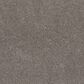 Shaw Calm Simplicity I Carpet in Desert View, , large