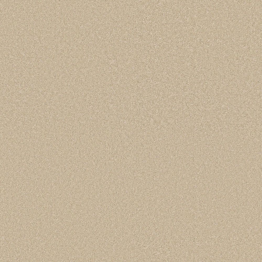 Shaw Way To Go II Carpet in Warm Breeze, , large