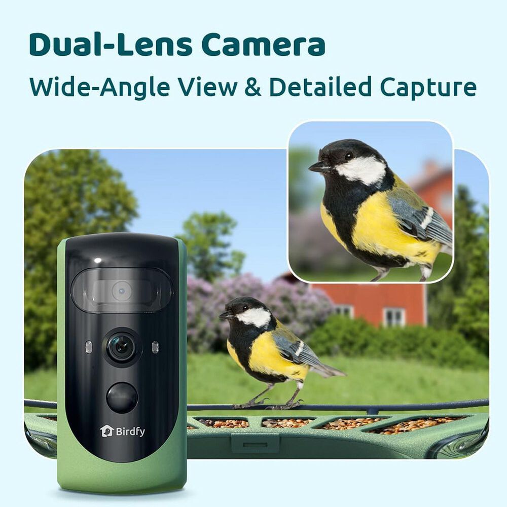 Birdfy Bird Feeder 2 with Smart Camera and Solar Panel in Green, , large