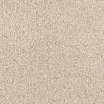 Dixie Home Gentle Wind Carpet in Starfish, , large