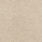 Dixie Home Gentle Wind Carpet in Starfish, , large