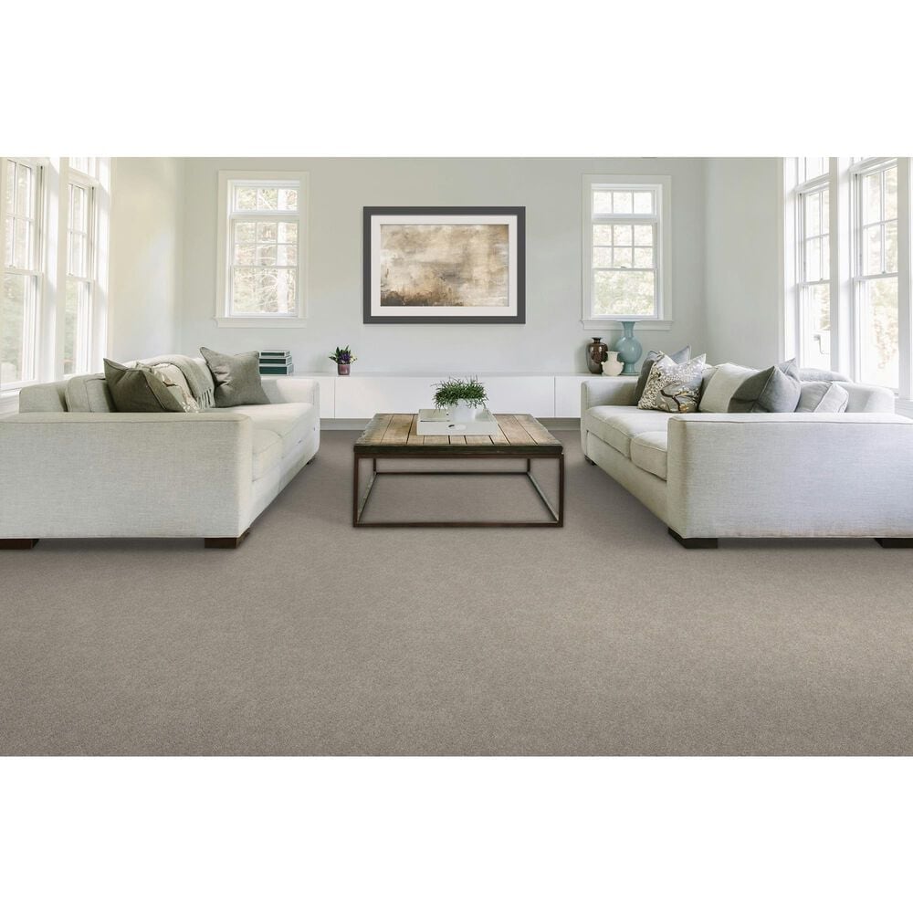 Mohawk Quality Feeling Carpet in Lambs Ear, , large