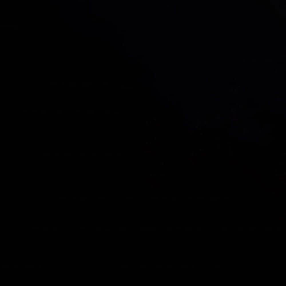 Furniture of America Elliot Twin Canopy Bed in Black, , large