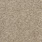 Masland Classical Carpet in Concerto, , large