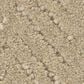Anderson Tuftex Veranda Carpet in Greige, , large