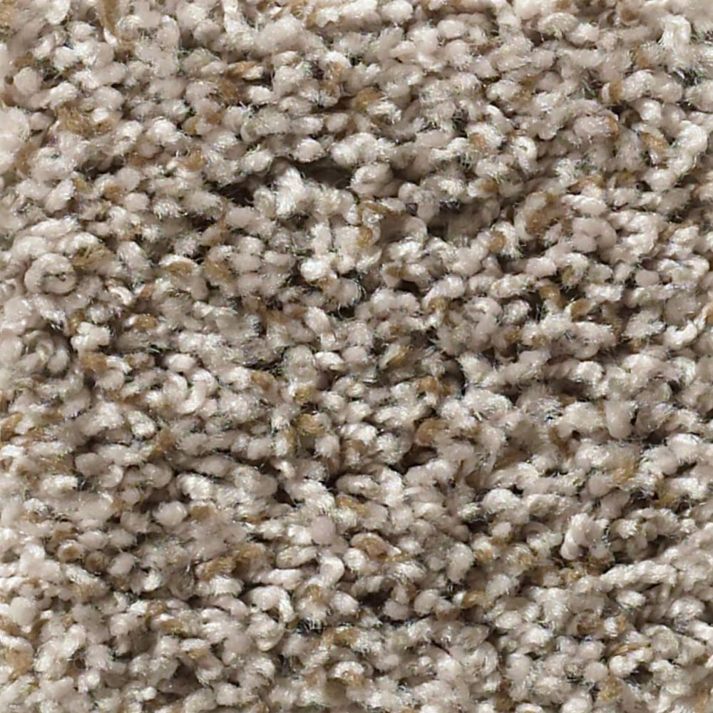 Shaw Break Away Tonal Carpet in Nature Trail, , large