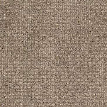 Dixie Home Feline Carpet in Garfield, , large