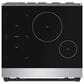 Thor Kitchen Gordon Ramsay 4.8 Cu. Ft. Professional Induction Range with Black Handle Kit in Stainless Steel, , large