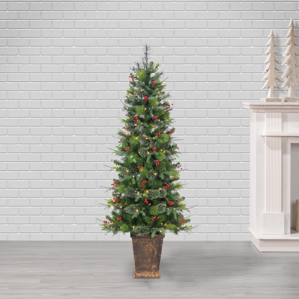 The Gerson Company 6&#39; Potted Pre-Lit Hard Needle Douglas Pine with White LED in Green, , large