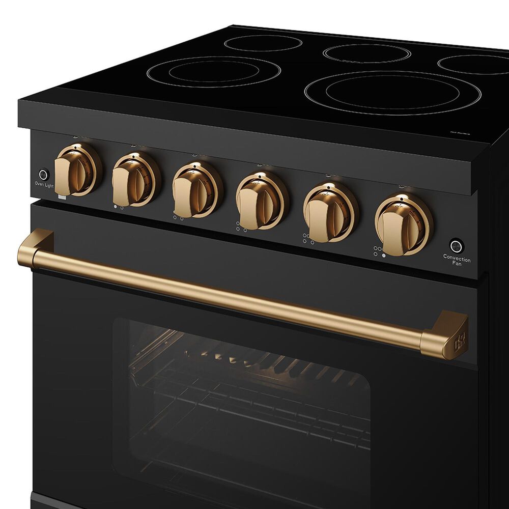 Thor Kitchen Gordon Ramsay 4.6 Cu. Ft. Professional Freestanding Electric Range with Bronze Handle Kit in Black, , large
