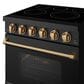 Thor Kitchen Gordon Ramsay 4.6 Cu. Ft. Professional Freestanding Electric Range with Bronze Handle Kit in Black, , large