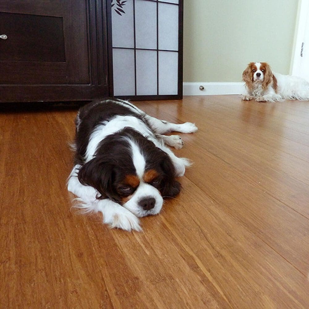 Cali Flooring Fossilized Mocha 5.3125" Engineered Bamboo Hardwood, , large