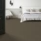 Anderson Tuftex Path Carpet in Ancient, , large