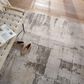 Jaipur Cirque Proto White 11"10" x 14" Area Rug, , large