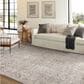 Amber Lewis x Loloi Alie 11"6" x 15"7" Stone and Mist Area Rug, , large