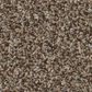 Shaw Bold Move Plus Carpet in Hay Seed, , large