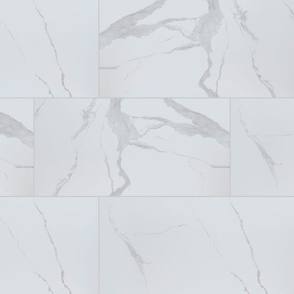 MS International Eden Statuary 24" x 48" Matte Porcelain Tile, , large