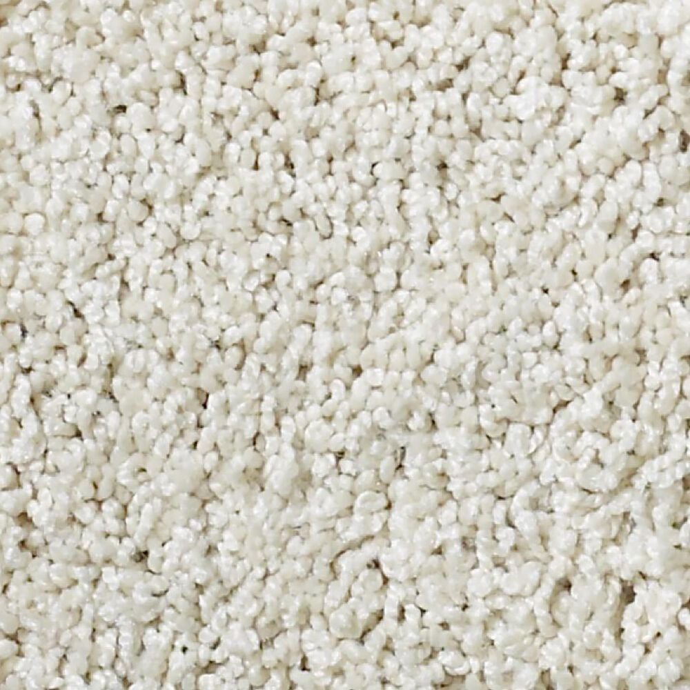 Shaw Foundations Take The Floor Twist II Carpet in Modest, , large